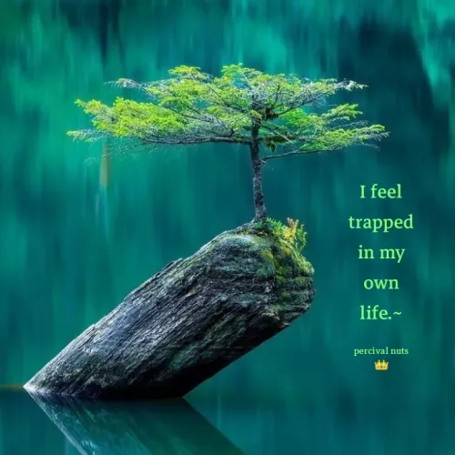 Quotes by Percy Percussion - I feel trapped in my own life.~

percival nuts 👑