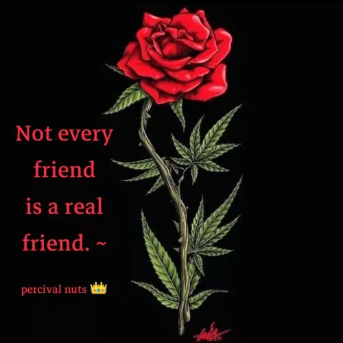 Quotes by Percy Percussion - Not every friend is a real friend. ~

percival nuts 👑