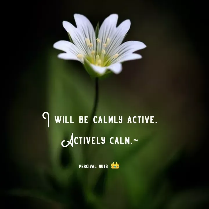 Quote by Percy Percussion - I will be calmly active. Actively calm.~

percival nuts 👑 - Made using Quotes Creator App, Post Maker App
