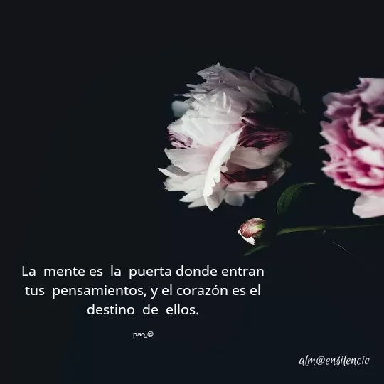 Quote by marce vergara - La  mente es  la  puerta donde entran tus  pensamientos, y el corazón es el  destino  de  ellos.

pao_@ - Made using Quotes Creator App, Post Maker App