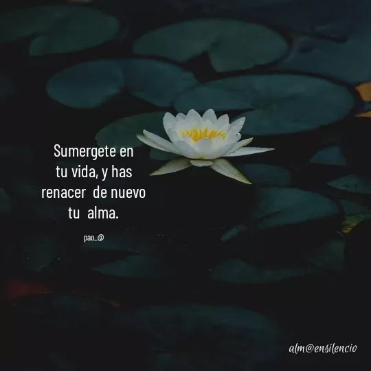 Quote by marce vergara - Sumergete en tu vida, y has  renacer  de nuevo  tu  alma.

pao_@ - Made using Quotes Creator App, Post Maker App
