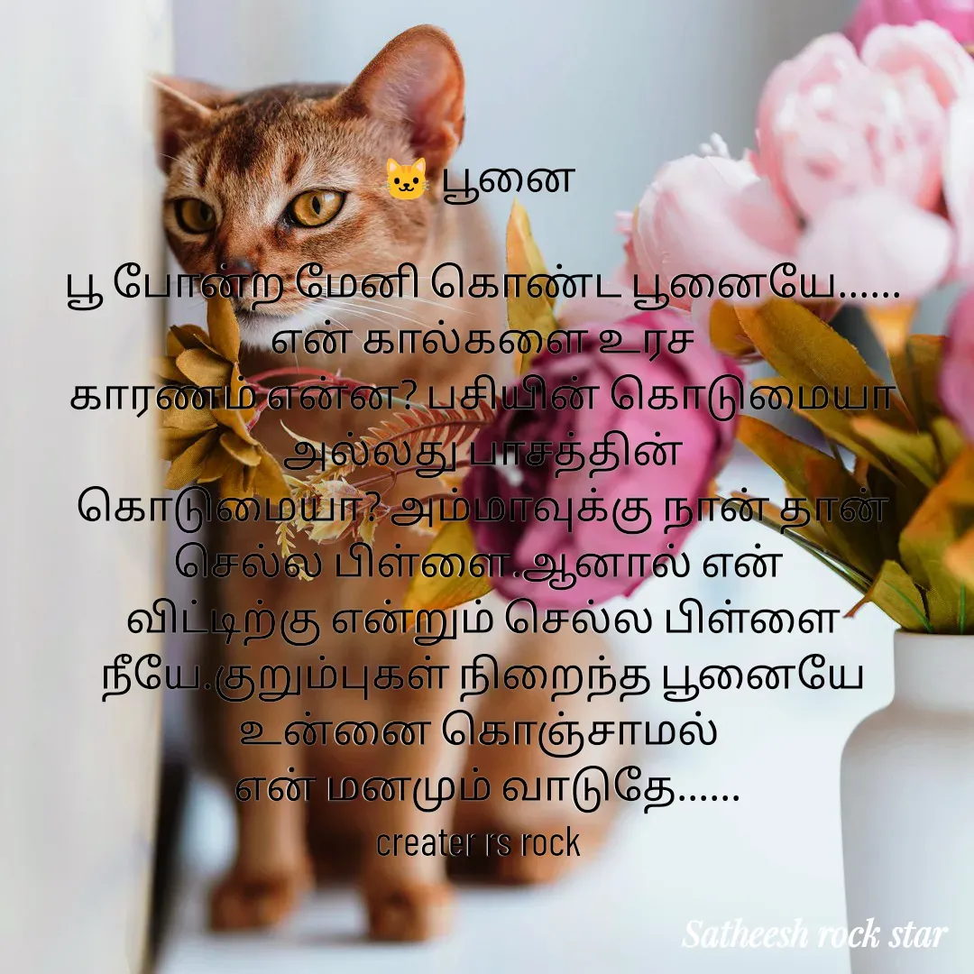 Quote by Satheesh Raj. Rs rock - 🐱 பூனை 

பூ போன்ற மேனி கொண்ட பூனையே...... என் கால்களை உரச
காரணம் என்ன? பசியின் கொடுமையா அல்லது பாசத்தின்
கொடுமையா? அம்மாவுக்கு நான் தான் செல்ல பிள்ளை.ஆனால் என் 
விட்டிற்கு என்றும் செல்ல பிள்ளை
நீயே.குறும்புகள் நிறைந்த பூனையே உன்னை கொஞ்சாமல் 
 என் மனமும் வாடுதே......
creater rs rock  - Made using Quotes Creator App, Post Maker App