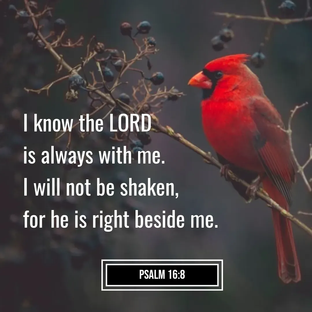 Quote by Mary Trevino - I know the LORD 
is always with me. 
I will not be shaken, 
for he is right beside me.
Psalm 16:8 - Made using Quotes Creator App, Post Maker App