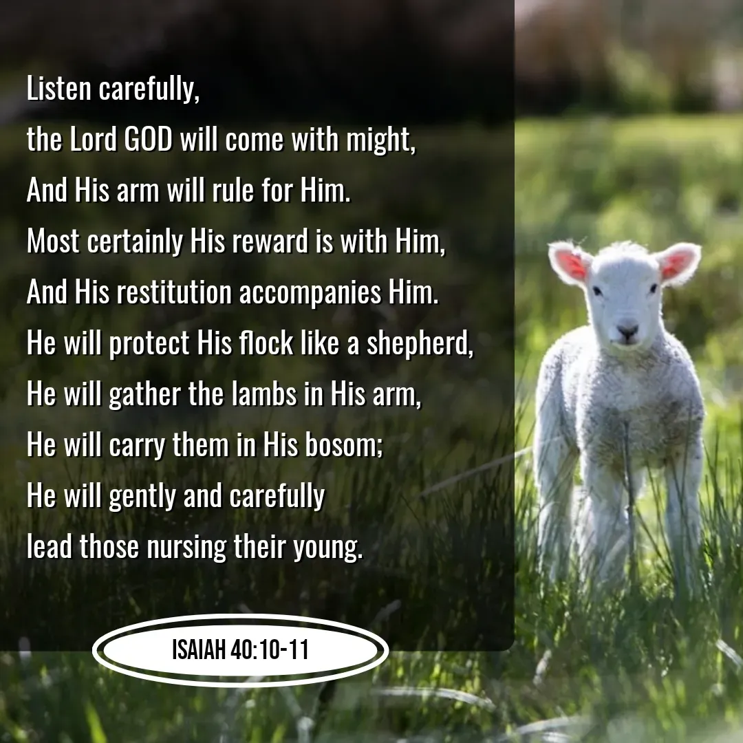 Quote by Mary Trevino - Listen carefully, 
the Lord GOD will come with might, 
And His arm will rule for Him. 
Most certainly His reward is with Him, 
And His restitution accompanies Him. 
He will protect His flock like a shepherd, 
He will gather the lambs in His arm, 
He will carry them in His bosom; 
He will gently and carefully 
lead those nursing their young.Isaiah 40:10-11 - Made using Quotes Creator App, Post Maker App