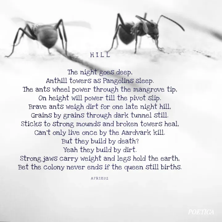 Quote by AFRIKUZ - H I L L

The night goes deep,
Anthill towers as Pangolins sleep.
The ants wheel power through the mangrove tip,
On height will power till the pivot slip.
Brave ants weigh dirt for one late night hill,
Grains by grains through dark tunnel still.
Sticks to strong mounds and broken towers heal,
Can't only live once by the Aardvark kill.
But they build by death?
Yeah they build by dirt.
Strong jaws carry weight and legs hold the earth,
Bet the colony never ends if the queen still births.

A F R I K U Z  - Made using Quotes Creator App, Post Maker App