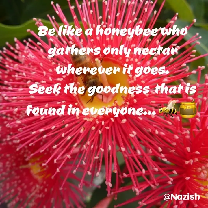 Quote by BUSHRA KHAN - Be like a honeybee who gathers only nectar wherever it goes.
Seek the goodness  that is found in everyone...🐝🍯 - Made using Quotes Creator App, Post Maker App