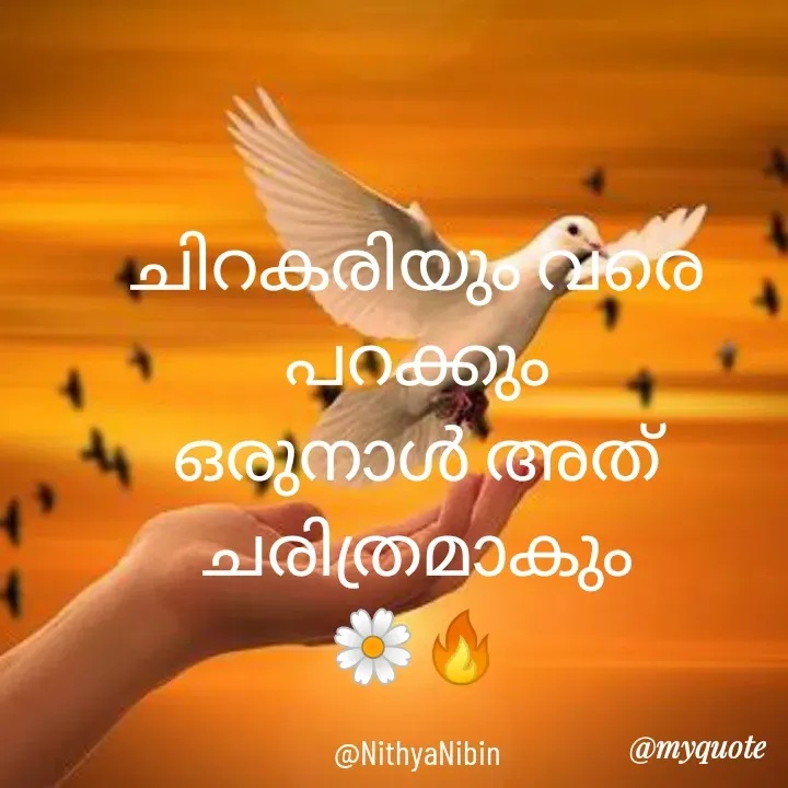 Quote by NITHYA K S - ചിറകരിയും വരെ പറക്കും
ഒരുനാൾ അത് ചരിത്രമാകും
🌼🔥

@NithyaNibin - Made using Quotes Creator App, Post Maker App