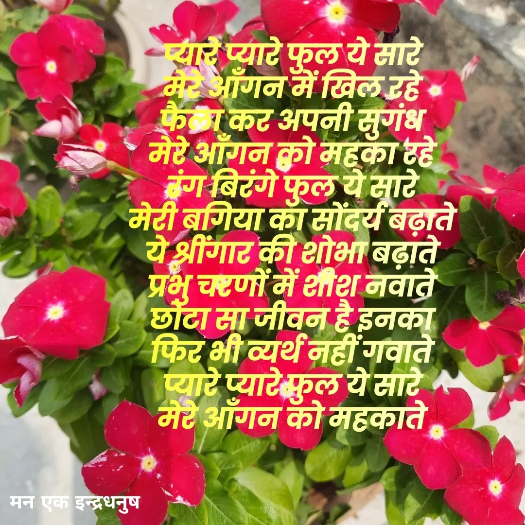 Quote by मन एक इन्द्रधनुष - प्यारे प्यारे फुल ये सारे 
मेरे आँगन में खिल रहे 
फैला कर अपनी सुगंध 
मेरे आँगन को महका रहे 
रंग बिरंगे फुल ये सारे 
मेरी बगिया का सोंदर्य बढ़ाते 
ये श्रींगार की शोभा बढ़ाते 
प्रभु चरणों में शीश नवाते 
छोटा सा जीवन है इनका 
फिर भी व्यर्थ नहीं गवाते 
प्यारे प्यारे फुल ये सारे 
मेरे आँगन को महकाते 


 - Made using Quotes Creator App, Post Maker App