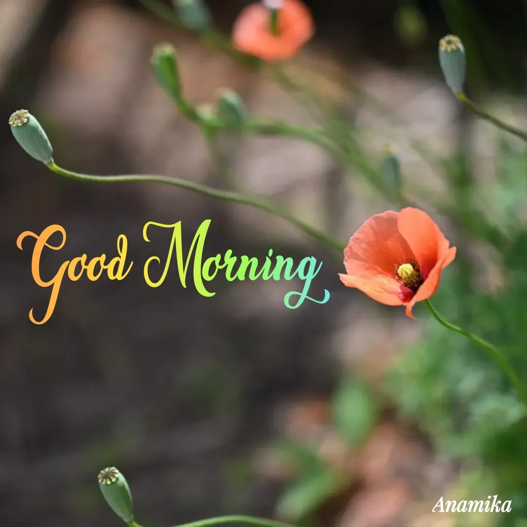 Quote by Anamika Banerjee 💜💜 - Good Morning  - Made using Quotes Creator App, Post Maker App