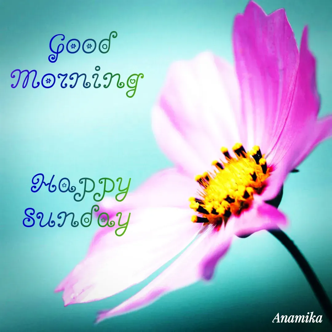 Quote by Anamika Banerjee 💜💜 - Good Morning 


Happy Sunday 
 - Made using Quotes Creator App, Post Maker App