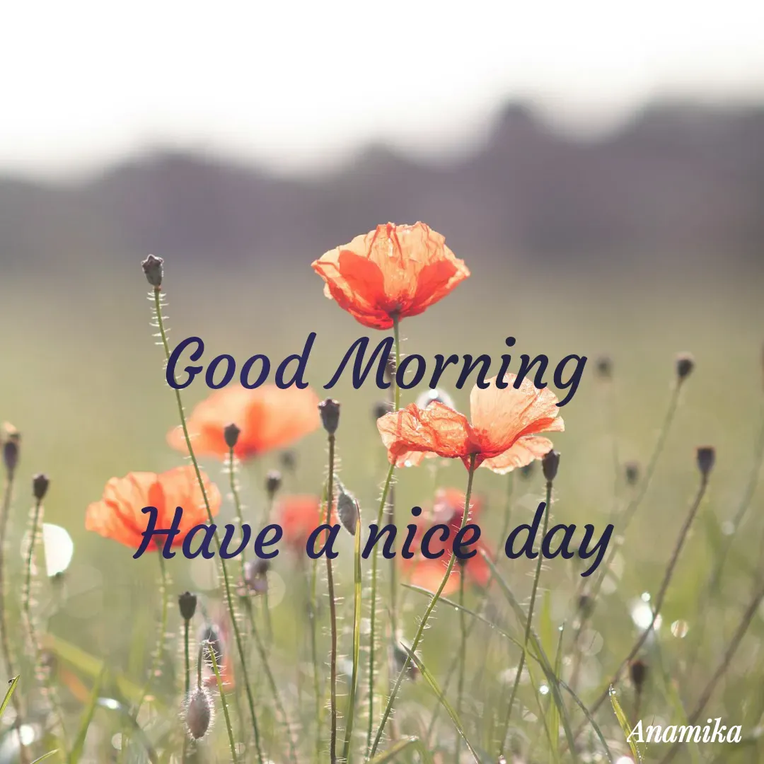 Quote by Anamika Banerjee 💜💜 - Good Morning 

Have a nice day  - Made using Quotes Creator App, Post Maker App