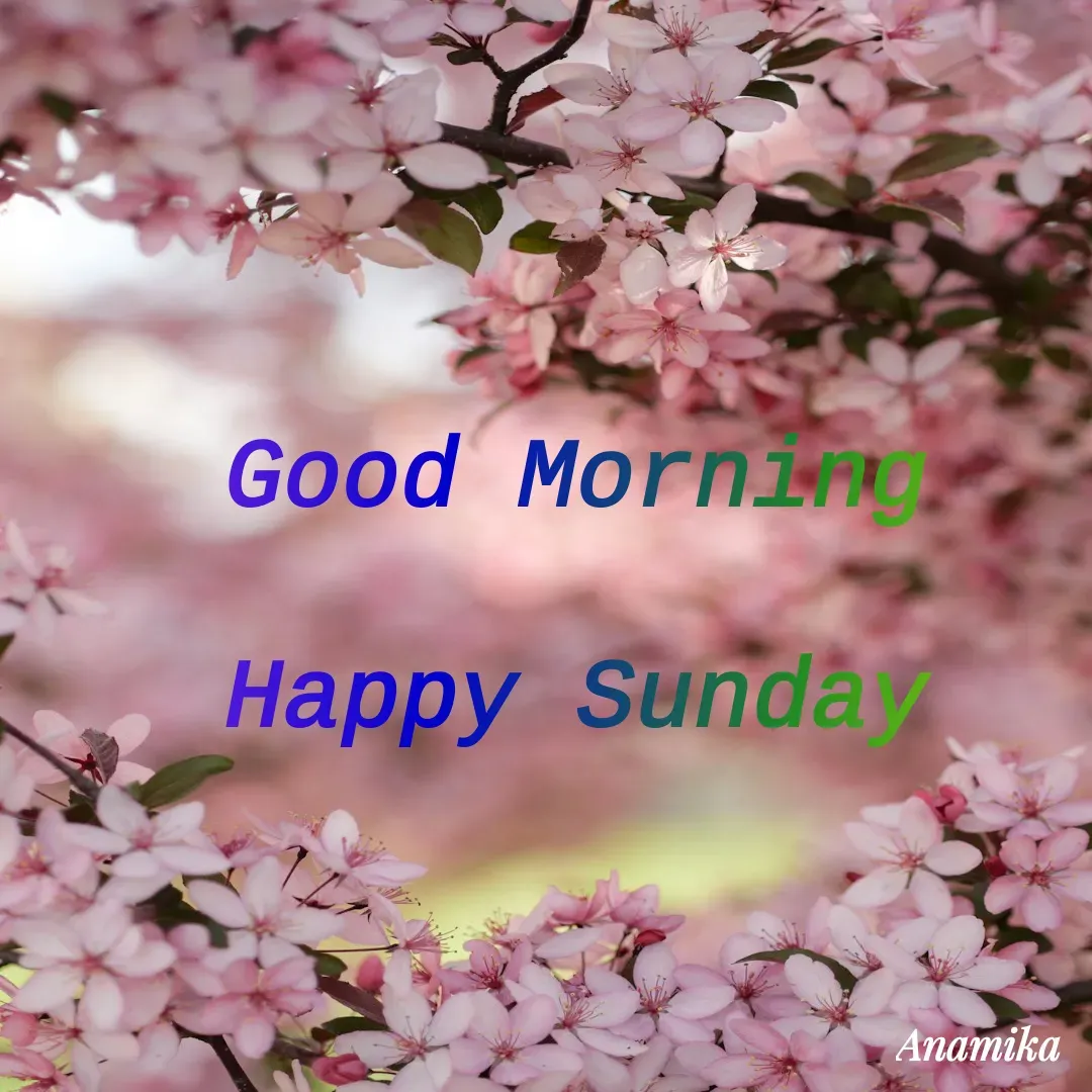 Quote by Anamika Banerjee 💜💜 - Good Morning 

Happy Sunday  - Made using Quotes Creator App, Post Maker App