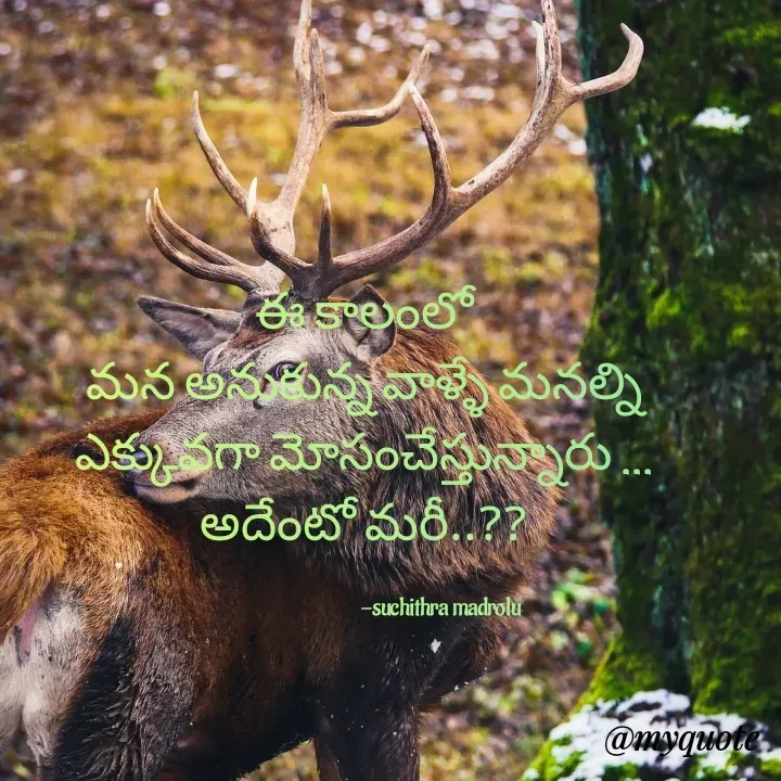 Quote by Hidden Art -  ఈ కాలంలో 
మన అనుకున్న వాళ్ళే మనల్ని
ఎక్కువగా మోసంచేస్తున్నారు ...
అదేంటో మరీ..??

                                   -suchithra madrolu - Made using Quotes Creator App, Post Maker App