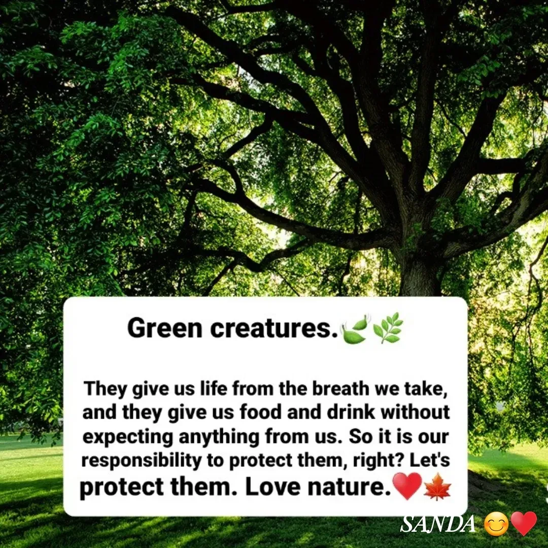 Quote by Sanduni ✍️✍️✍️ -  - Made using Quotes Creator App, Post Maker App