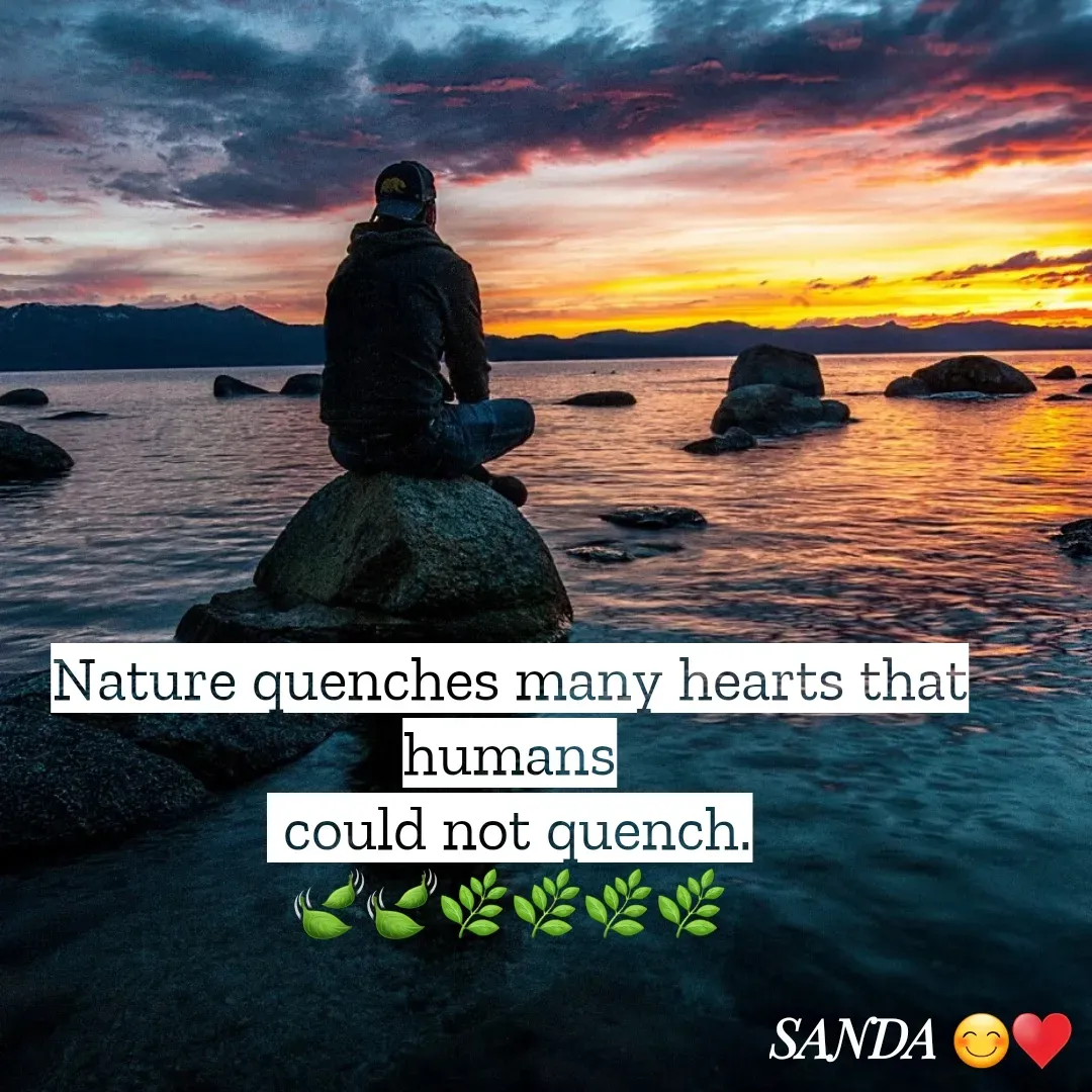 Quote by Sanduni ✍️✍️✍️ - Nature quenches many hearts that humans
 could not quench.
🍃🍃🌿🌿🌿🌿 - Made using Quotes Creator App, Post Maker App