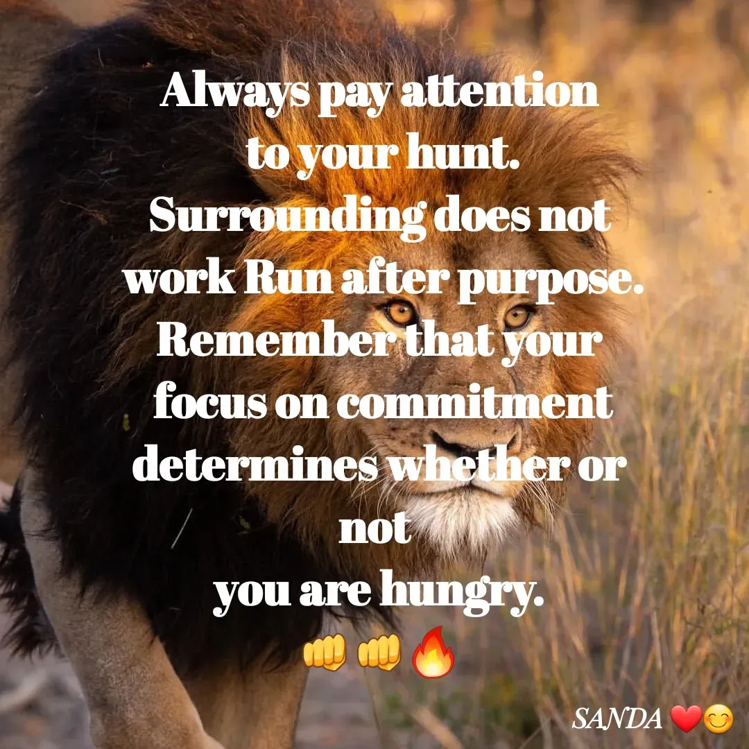 Quote by Sanduni ✍️✍️ - Always pay attention
 to your hunt.
Surrounding does not
 work Run after purpose.
Remember that your
 focus on commitment
 determines whether or 
not 
you are hungry.
👊👊🔥 - Made using Quotes Creator App, Post Maker App