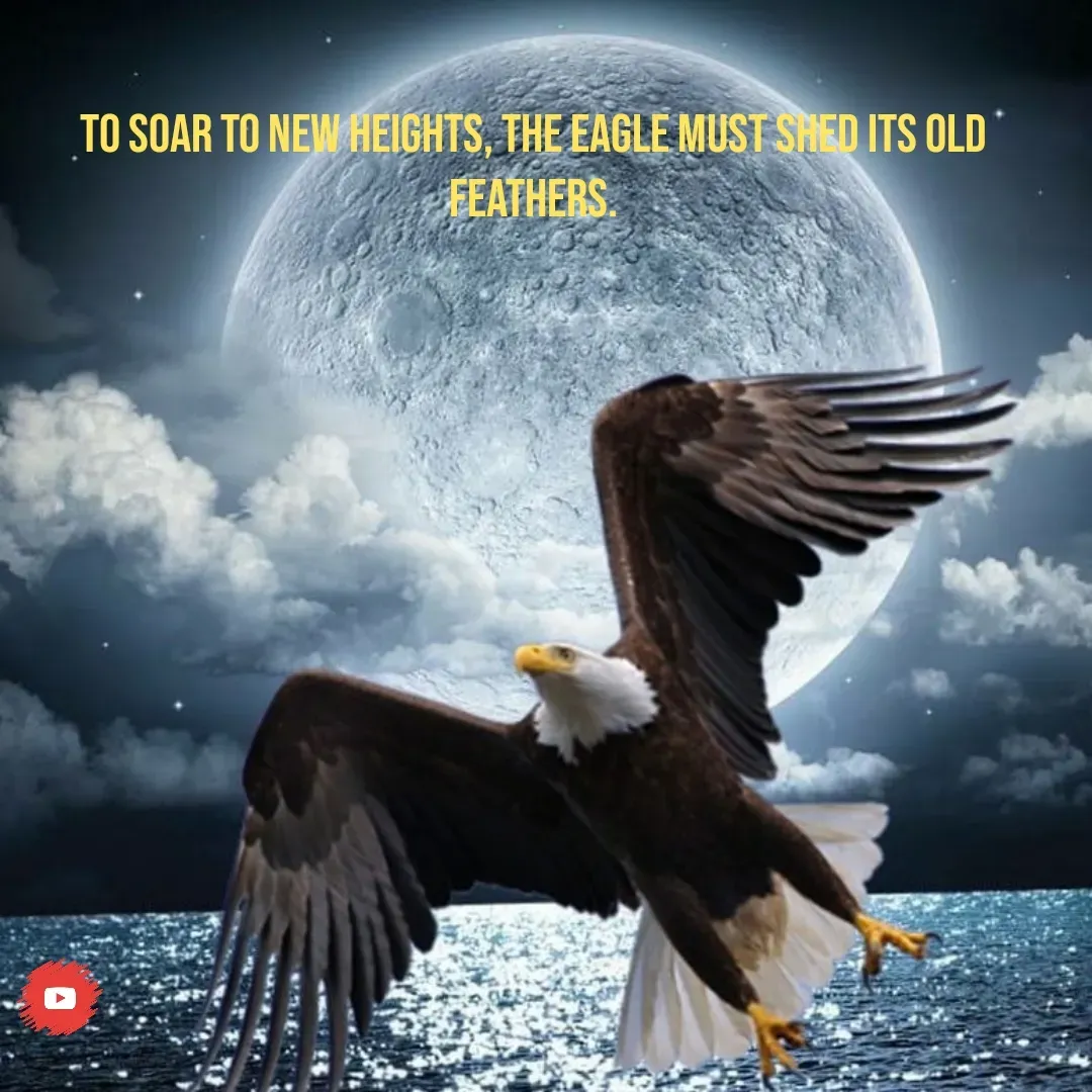 Quote by RIYA - To soar to new heights, the eagle must shed its old feathers. - Made using Quotes Creator App, Post Maker App