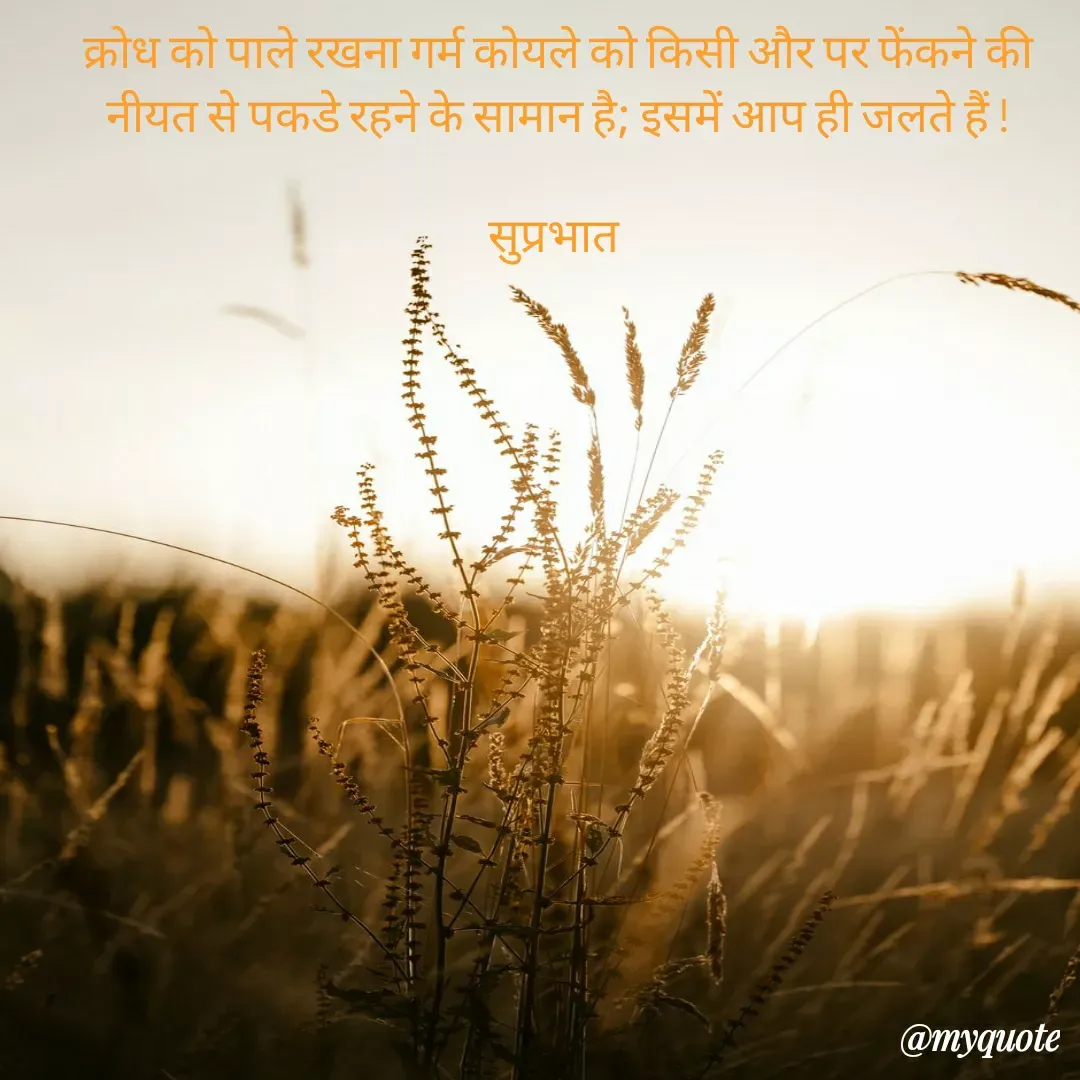 Quote by Surjeet Dogra - क्रोध को पाले रखना गर्म कोयले को किसी और पर फेंकने की नीयत से पकडे रहने के सामान है; इसमें आप ही जलते हैं !

सुप्रभात 

 - Made using Quotes Creator App, Post Maker App