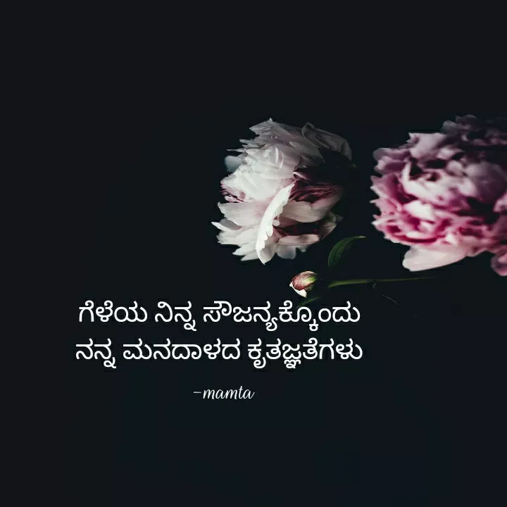 Quote by Mamta... - ಗೆಳೆಯ ನಿನ್ನ ಸೌಜನ್ಯಕ್ಕೊಂದು 
ನನ್ನ ಮನದಾಳದ ಕೃತಜ್ಞತೆಗಳು 
-mamta - Made using Quotes Creator App, Post Maker App