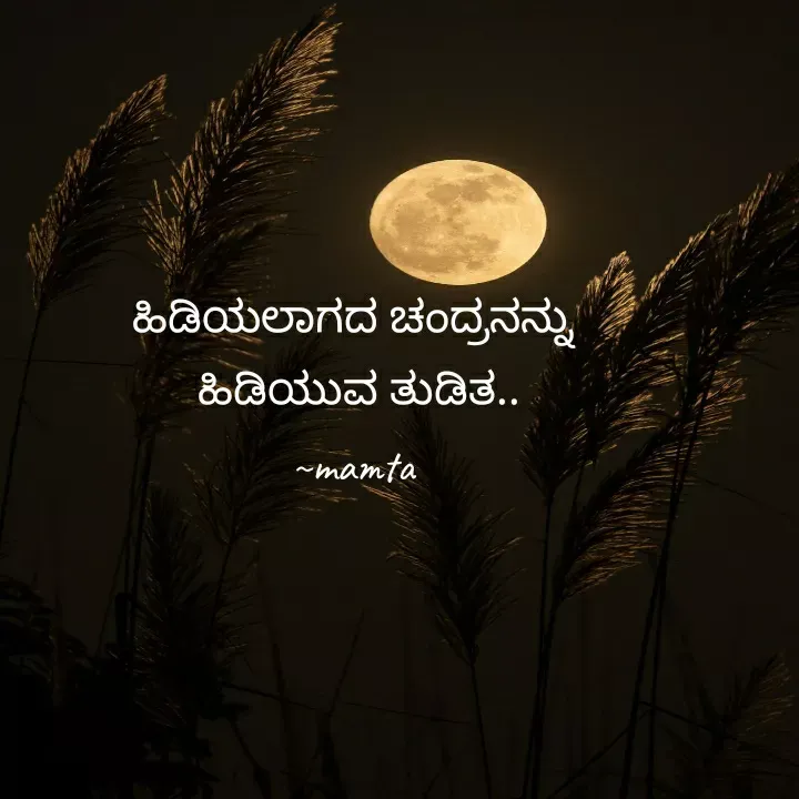 Quote by Mamta... - ಹಿಡಿಯಲಾಗದ ಚಂದ್ರನನ್ನು
 ಹಿಡಿಯುವ ತುಡಿತ..
~mamta - Made using Quotes Creator App, Post Maker App
