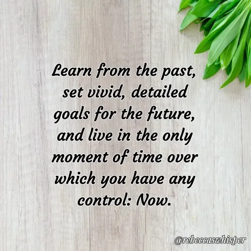 Quote by Rebecca Nelson Barnes - Learn from the past, set vivid, detailed goals for the future, and live in the only moment of time over which you have any control: Now. - Made using Quotes Creator App, Post Maker App
