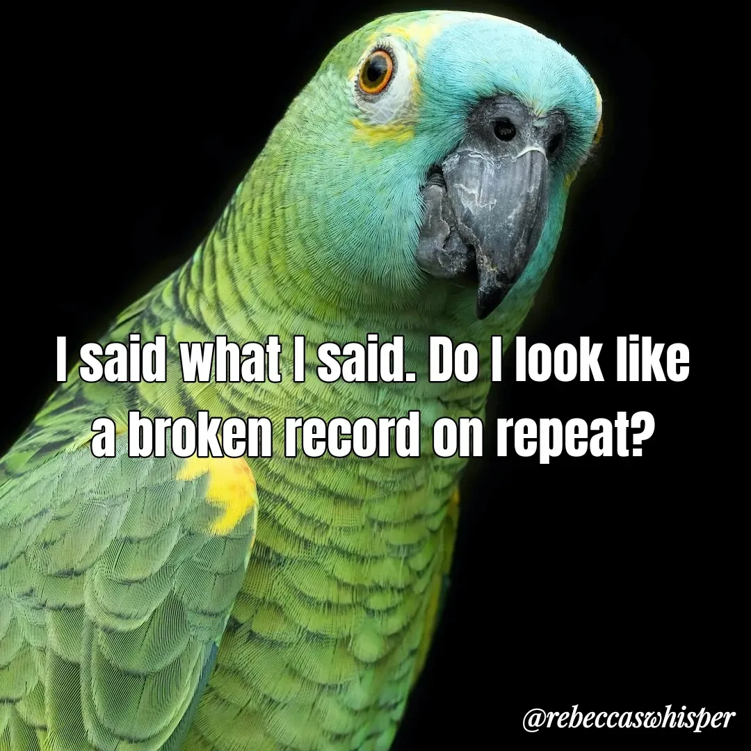 Quote by Rebecca Nelson Barnes - I said what I said. Do I look like a broken record on repeat? - Made using Quotes Creator App, Post Maker App