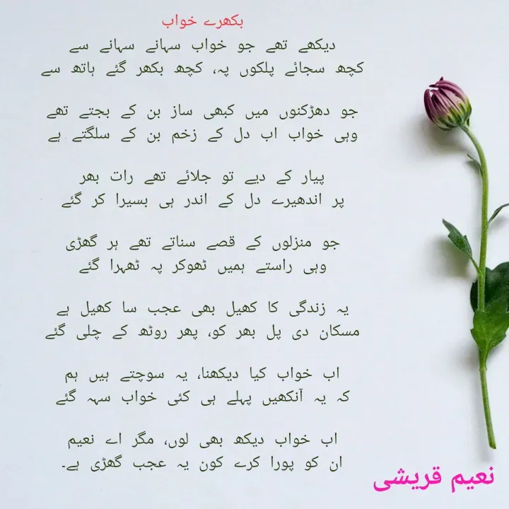 Quote by Naieem Qureshi ☑️ - بکھرے خواب
دیکھے تھے جو خواب سہانے سہانے سے
کچھ سجائے پلکوں پہ، کچھ بکھر گئے ہاتھ سے

جو دھڑکنوں میں کبھی ساز بن کے بجتے تھے
وہی خواب اب دل کے زخم بن کے سلگتے ہے

پیار کے دیے تو جلائے تھے رات بھر
پر اندھیرے دل کے اندر ہی بسیرا کر گئے

جو منزلوں کے قصے سناتے تھے ہر گھڑی
وہی راستے ہمیں ٹھوکر پہ ٹھہرا گئے

یہ زندگی کا کھیل بھی عجب سا کھیل ہے
مسکان دی پل بھر کو، پھر روٹھ کے چلی گئے

اب خواب کیا دیکھنا، یہ سوچتے ہیں ہم
کہ یہ آنکھیں پہلے ہی کئی خواب سہہ گئے

اب خواب دیکھ بھی لوں، مگر اے نعیم
ان کو پورا کرے کون یہ عجب گھڑی ہے۔

 - Made using Quotes Creator App, Post Maker App