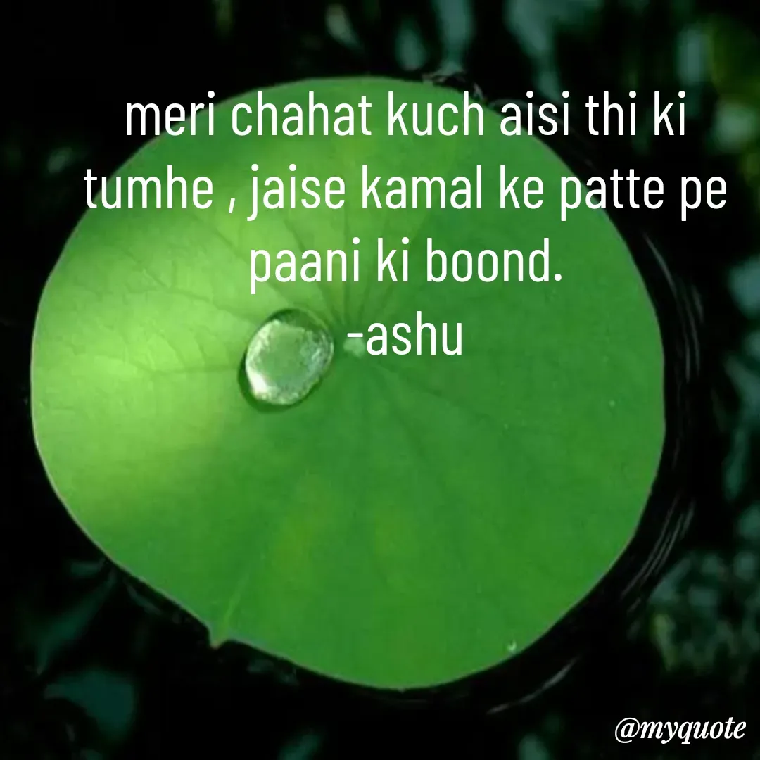 Quote by Haseena Kote - meri chahat kuch aisi thi ki tumhe , jaise kamal ke patte pe paani ki boond.
-ashu
 - Made using Quotes Creator App, Post Maker App