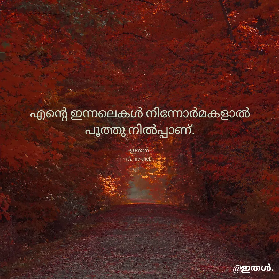 Quote by Shabeena P S - എന്റെ ഇന്നലെകൾ നിന്നോർമകളാൽ
പൂത്തു നിൽപ്പാണ്.

-ഇതൾ -
it'z me shebi. - Made using Quotes Creator App, Post Maker App