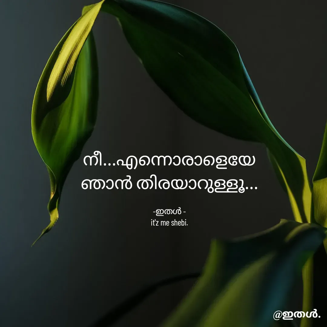 Quote by Shabeena P S - നീ...എന്നൊരാളെയേ
ഞാൻ തിരയാറുള്ളൂ...

-ഇതൾ -
it'z me shebi. - Made using Quotes Creator App, Post Maker App