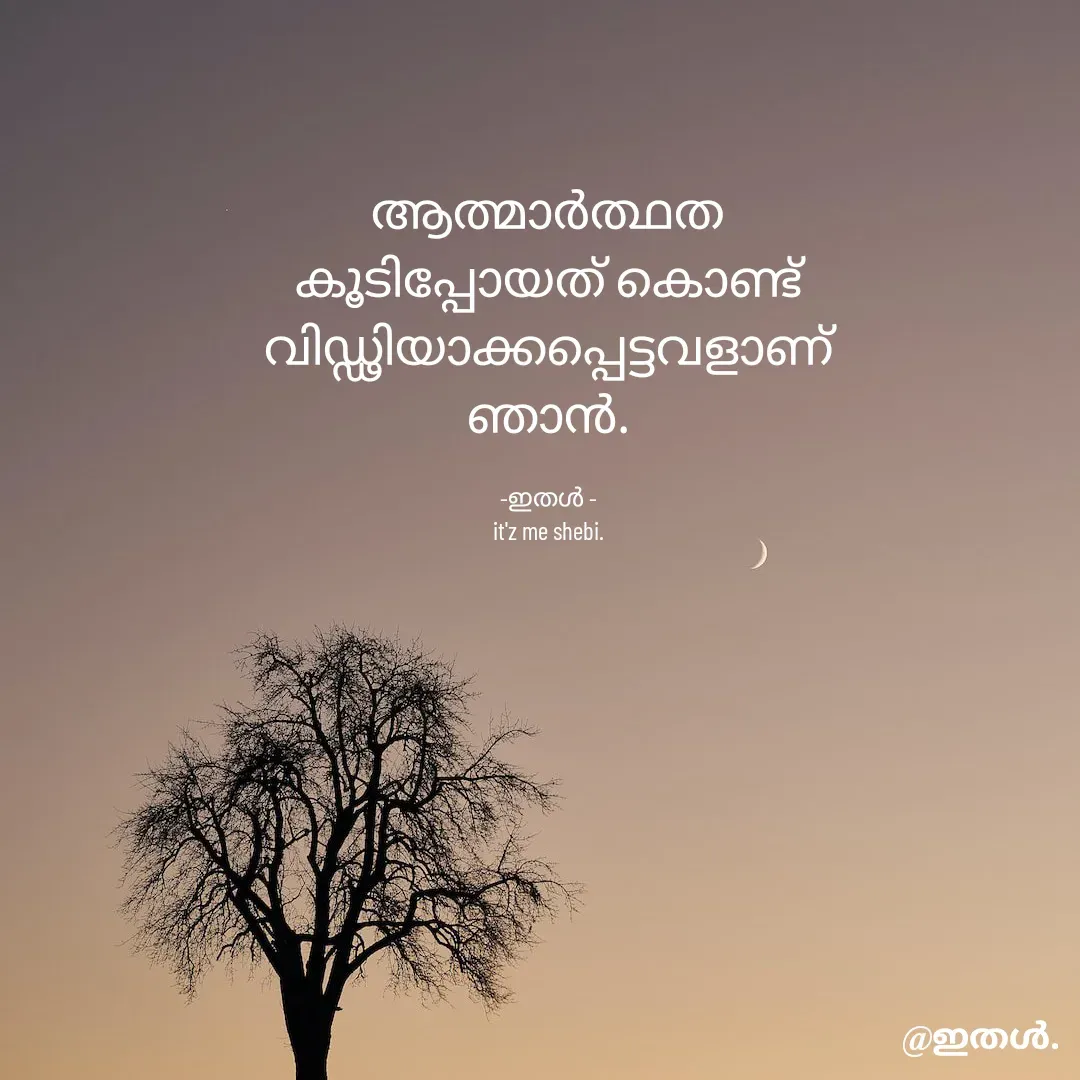 Quote by Shabeena P S - ആത്മാർത്ഥത
കൂടിപ്പോയത് കൊണ്ട്
വിഡ്ഢിയാക്കപ്പെട്ടവളാണ്
ഞാൻ.

-ഇതൾ -
it'z me shebi. - Made using Quotes Creator App, Post Maker App