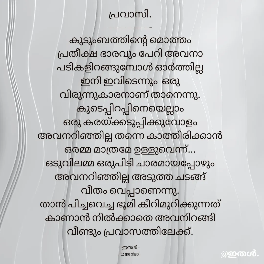 Quote by Shabeena P S - പ്രവാസി.
---------------
കുടുംബത്തിന്റെ മൊത്തം
പ്രതീക്ഷ ഭാരവും പേറി അവനാ
പടികളിറങ്ങുമ്പോൾ ഓർത്തില്ല
ഇനി ഇവിടെന്നും  ഒരു
വിരുന്നുകാരനാണ് താനെന്നു.
കൂടെപ്പിറപ്പിനെയെല്ലാം
ഒരു കരയ്ക്കടുപ്പിക്കുവോളം
അവനറിഞ്ഞില്ല തന്നെ കാത്തിരിക്കാൻ
ഒരമ്മ മാത്രമേ ഉള്ളുവെന്ന്...
ഒടുവിലമ്മ ഒരുപിടി ചാരമായപ്പോഴും
അവനറിഞ്ഞില്ല അടുത്ത ചടങ്ങ്
വീതം വെപ്പാണെന്നു.
താൻ പിച്ചവെച്ച ഭൂമി കീറിമുറിക്കുന്നത്
കാണാൻ നിൽക്കാതെ അവനിറങ്ങി
വീണ്ടും പ്രവാസത്തിലേക്ക്.

-ഇതൾ -
it'z me shebi. - Made using Quotes Creator App, Post Maker App