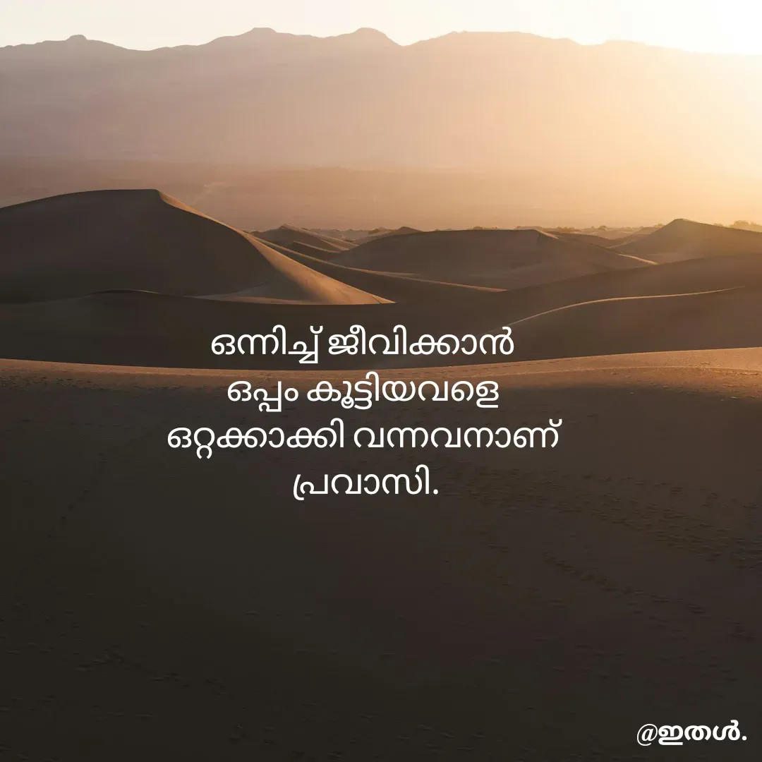 Quote by Shabeena P S - ഒന്നിച്ച് ജീവിക്കാൻ 
ഒപ്പം കൂട്ടിയവളെ 
ഒറ്റക്കാക്കി വന്നവനാണ് 
പ്രവാസി. - Made using Quotes Creator App, Post Maker App