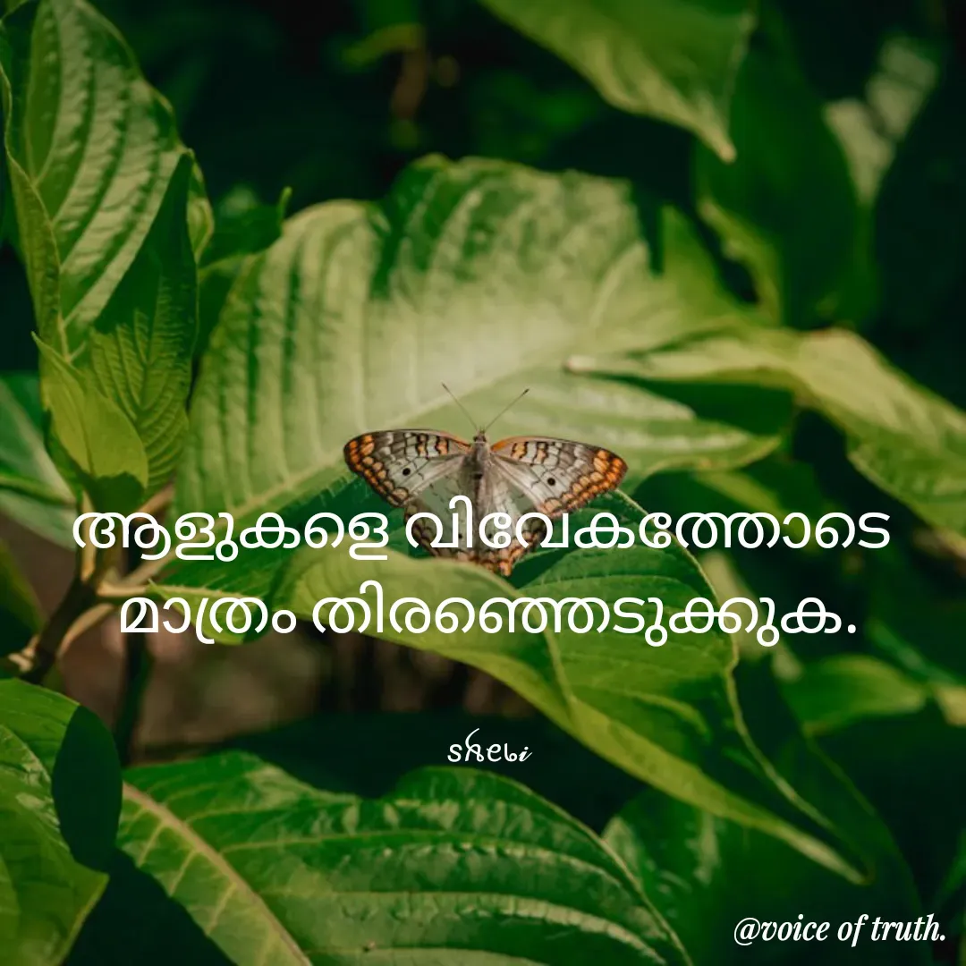Quote by Shabeena P S - ആളുകളെ വിവേകത്തോടെ 
മാത്രം തിരഞ്ഞെടുക്കുക.


𝘴ꫝꫀ᥇𝓲 - Made using Quotes Creator App, Post Maker App