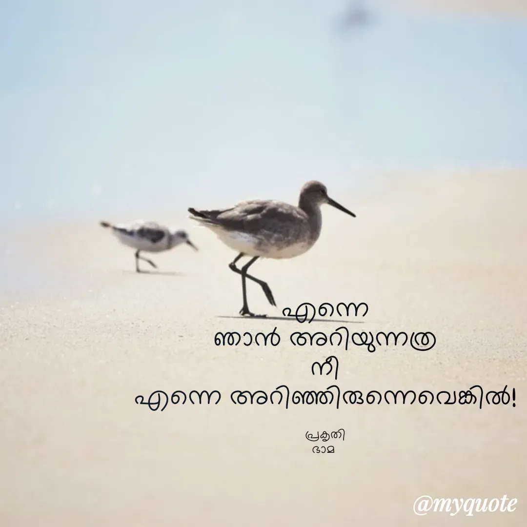 Quote by Bhamajith Bhamajith - എന്നെ
ഞാൻ അറിയുന്നത്ര
നീ
എന്നെ അറിഞ്ഞിരുന്നെവെങ്കിൽ!

പ്രകൃതി
ഭാമ  - Made using Quotes Creator App, Post Maker App