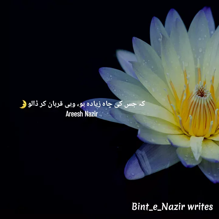 Quote by Areesh Nazir - کہ جس کی چاہ زیادہ ہو، وہی قربان کر ڈالو🌛
Areesh Nazir - Made using Quotes Creator App, Post Maker App