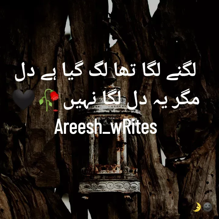 Quote by Areesh Nazir - لگنے لگا تھا لگ گیا ہے دل
مگر یہ دل لگا نہیں🥀🖤
Areesh_wRites - Made using Quotes Creator App, Post Maker App