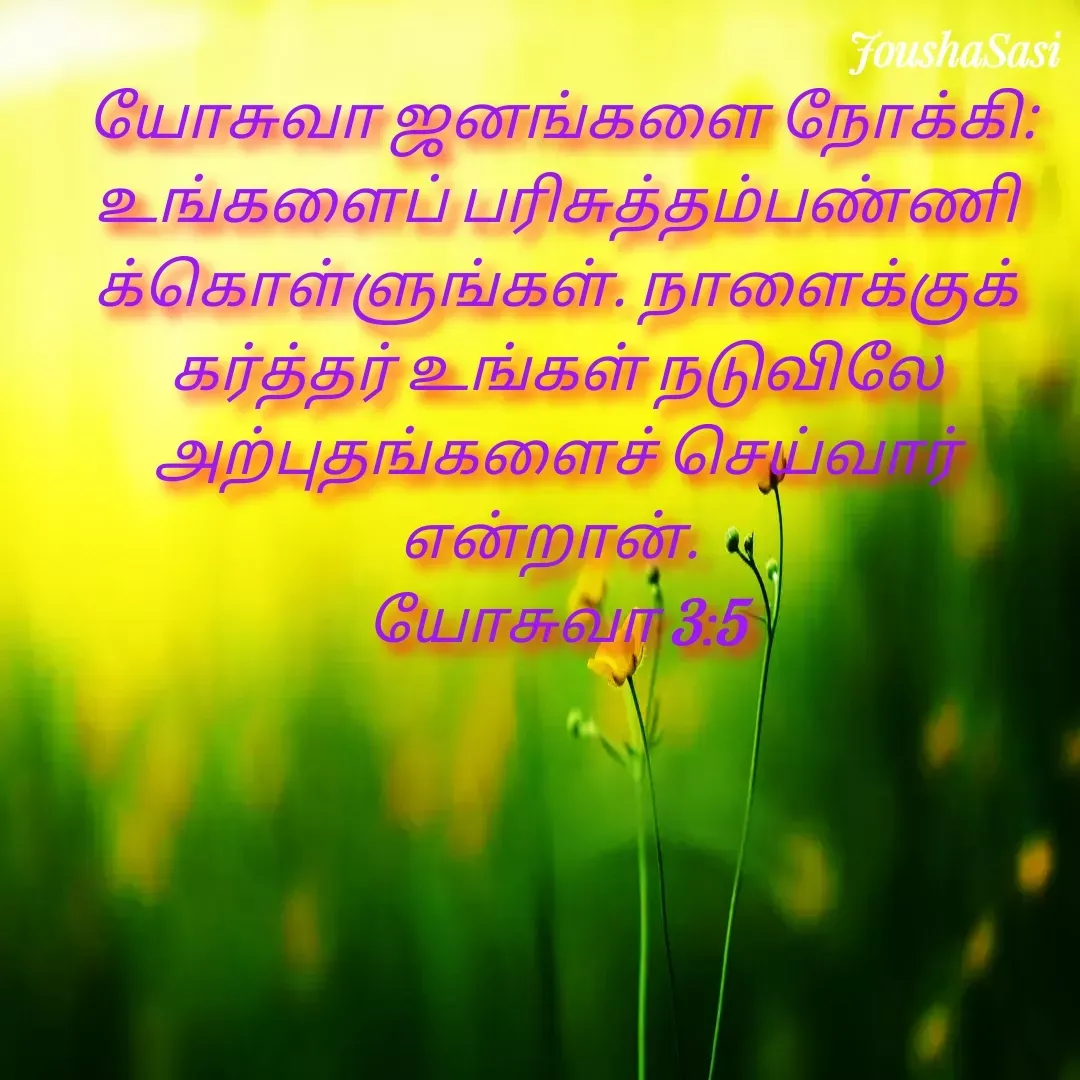 Quote by Joshua Sasi -  யோசுவா ஜனங்களை நோக்கி: உங்களைப் பரிசுத்தம்பண்ணிக்கொள்ளுங்கள். நாளைக்குக் கர்த்தர் உங்கள் நடுவிலே அற்புதங்களைச் செய்வார் என்றான். 
யோசுவா 3:5

 - Made using Quotes Creator App, Post Maker App