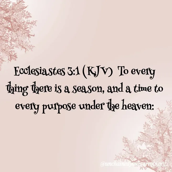 Quote by Unchained Your Carrots - Ecclesiastes 3:1 (KJV)  To every thing there is a season, and a time to every purpose under the heaven: - Made using Quotes Creator App, Post Maker App