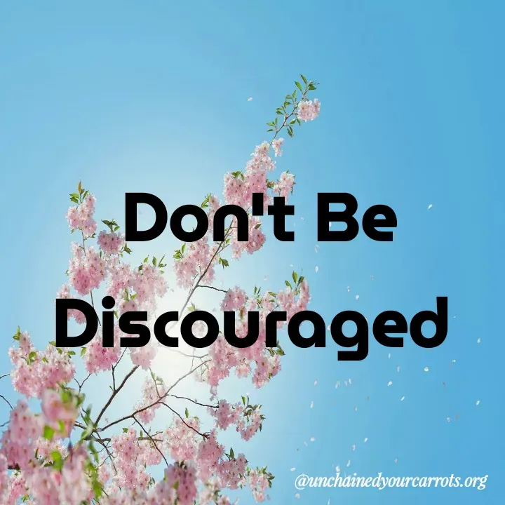 Quote by Unchained Your Carrots - Don't Be
Discouraged  - Made using Quotes Creator App, Post Maker App