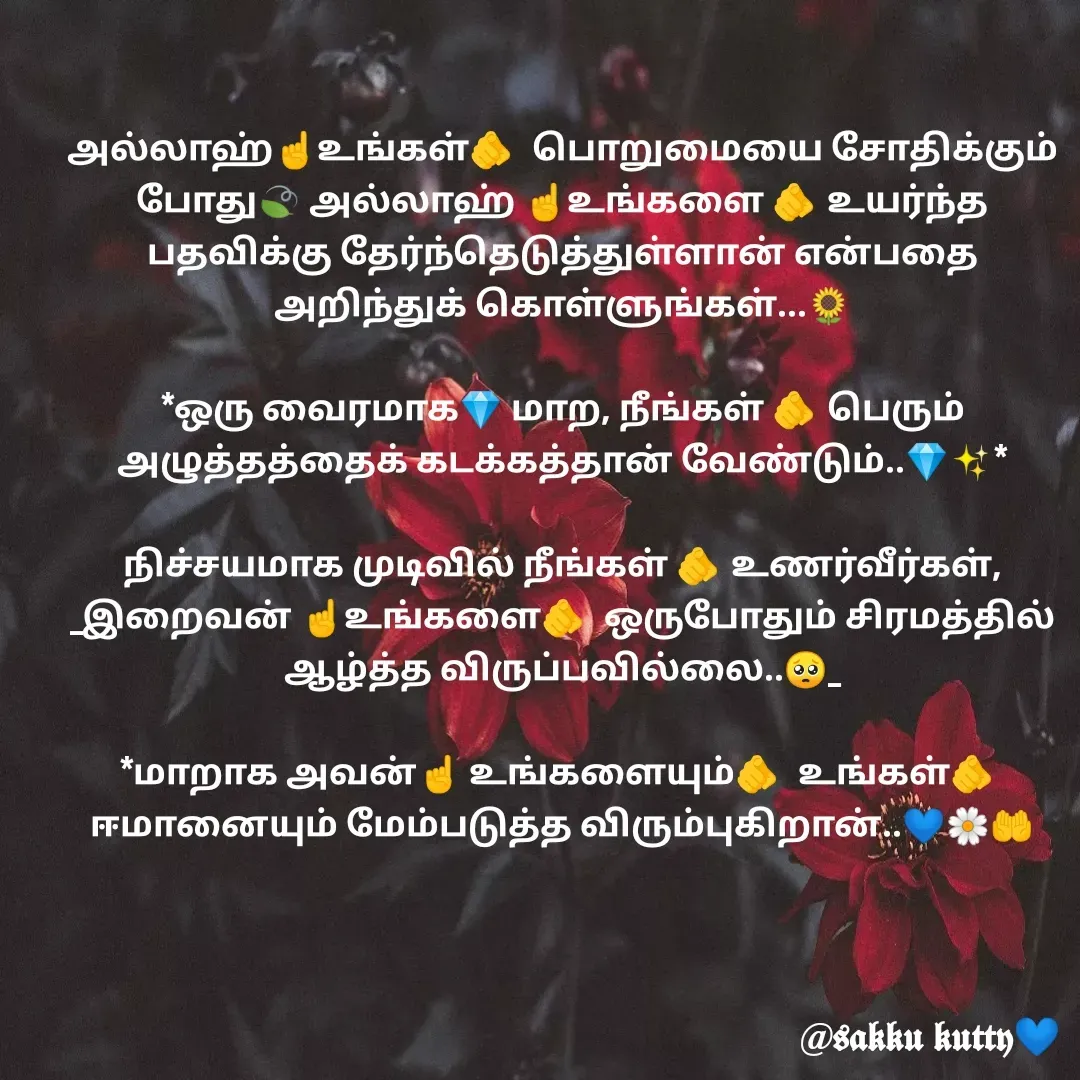 Quote by fathi sahrana - அல்லாஹ்☝️உங்கள்🫵 பொறுமையை சோதிக்கும் போது🍃 அல்லாஹ் ☝️உங்களை 🫵உயர்ந்த பதவிக்கு தேர்ந்தெடுத்துள்ளான் என்பதை அறிந்துக் கொள்ளுங்கள்...🌻

*ஒரு வைரமாக💎 மாற, நீங்கள் 🫵பெரும் அழுத்தத்தைக் கடக்கத்தான் வேண்டும்..💎✨*

நிச்சயமாக முடிவில் நீங்கள் 🫵உணர்வீர்கள், _இறைவன் ☝️உங்களை🫵 ஒருபோதும் சிரமத்தில் ஆழ்த்த விருப்பவில்லை..🥺_

*மாறாக அவன்☝️ உங்களையும்🫵 உங்கள்🫵 ஈமானையும் மேம்படுத்த விரும்புகிறான்..💙🌼🤲
 - Made using Quotes Creator App, Post Maker App