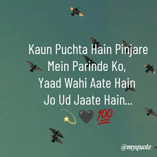 Quote by Priya Priyu... -  Kaun Puchta Hain Pinjare
Mein Parinde Ko,
Yaad Wahi Aate Hain
 Jo Ud Jaate Hain...
💫🖤💯 - Made using Quotes Creator App, Post Maker App