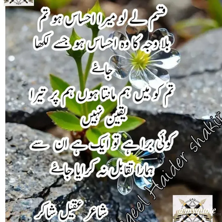 Quote by aqeel haider shakir - Double tap to change text. - Made using Quotes Creator App, Post Maker App