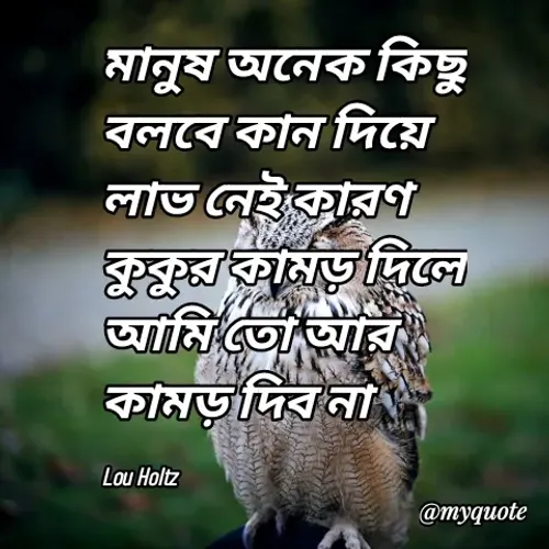 Quote by nr wazid -  - Made using Quotes Creator App, Post Maker App