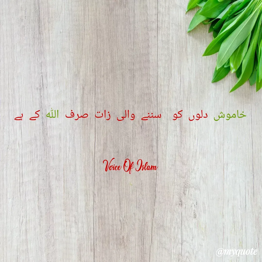 Quote by Waniya - خاموش دلوں کو  سننے والی زات صرف ﷲ کے ہے

Voice Of Islam - Made using Quotes Creator App, Post Maker App