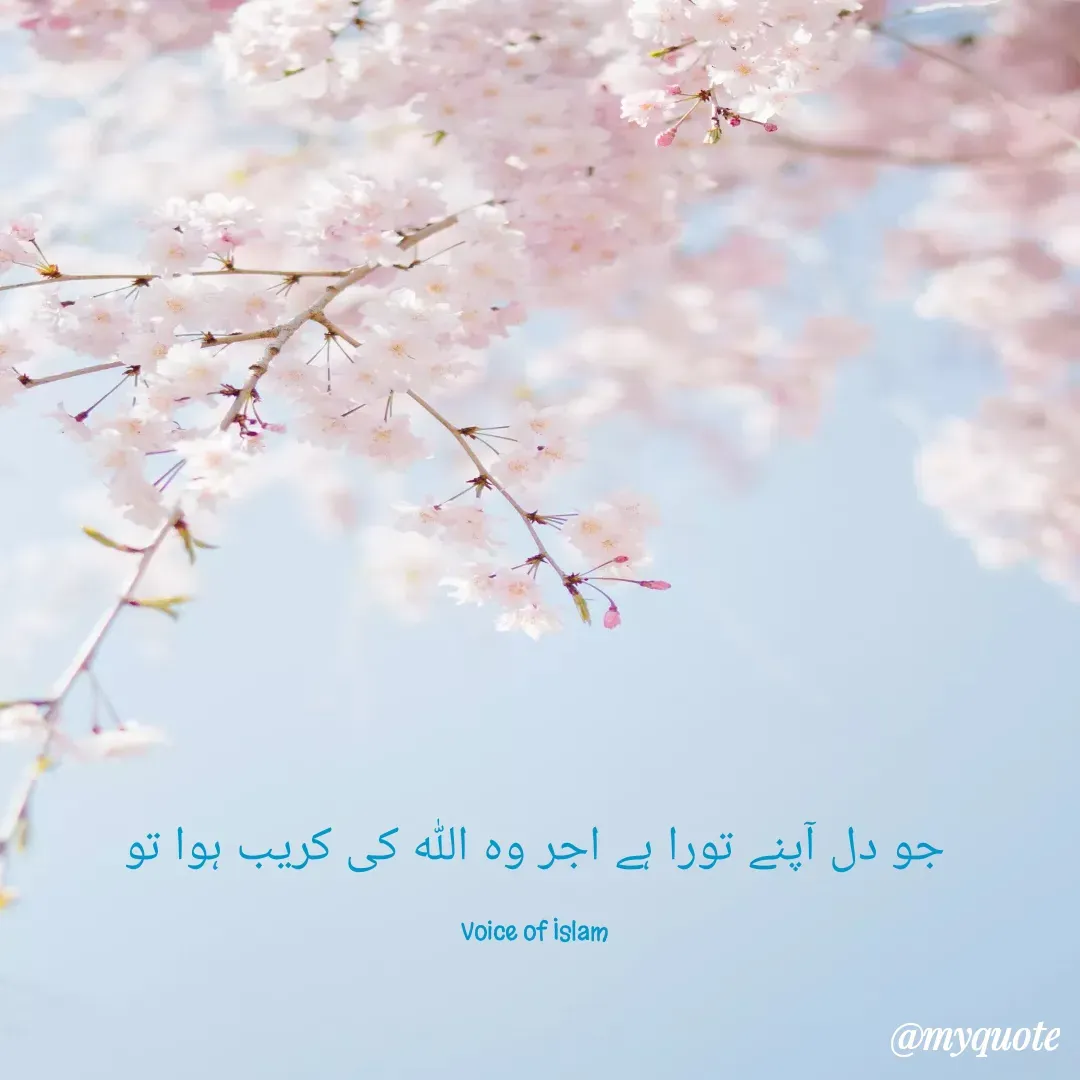 Quote by Aliya - جو دل آپنے تورا ہے اجر وہ ﷲ کی کریب ہوا تو

Voice of Islam - Made using Quotes Creator App, Post Maker App
