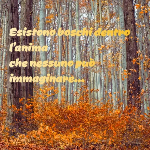 Quote by Simona Rosa - Esistono boschi dentro l'anima
che nessuno può immaginare... - Made using Quotes Creator App, Post Maker App