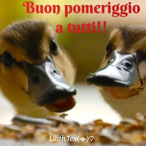 Quote by Simona Rosa - Buon pomeriggio
a tutti!! - Made using Quotes Creator App, Post Maker App