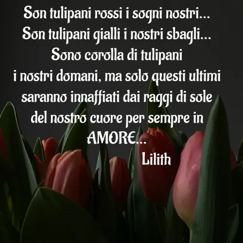 Quote by Simona Rosa - Son tulipani rossi i sogni nostri...
Son tulipani gialli i nostri sbagli...
Sono corolla di tulipani
i nostri domani, ma solo questi ultimi
saranno innaffiati dai raggi di sole
del nostro cuore per sempre in
AMORE...
                         Lilith - Made using Quotes Creator App, Post Maker App