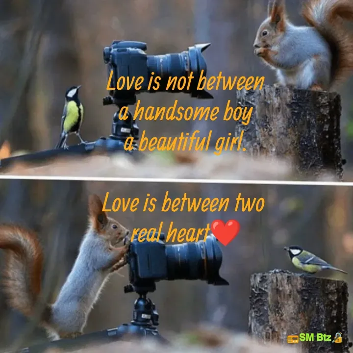 Quote by @ManaEdtz - Love is not between
a handsome boy
a beautiful girl.

Love is between two 
real heart❤️
 - Made using Quotes Creator App, Post Maker App